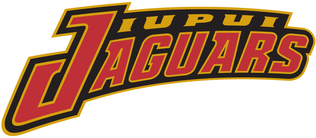 IUPUI Jaguars 2002-Pres Wordmark Logo t shirts DIY iron ons